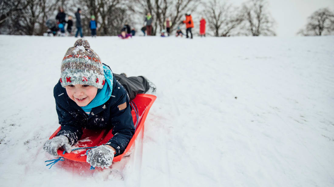 Sleigh vs. Sled What's the Difference?