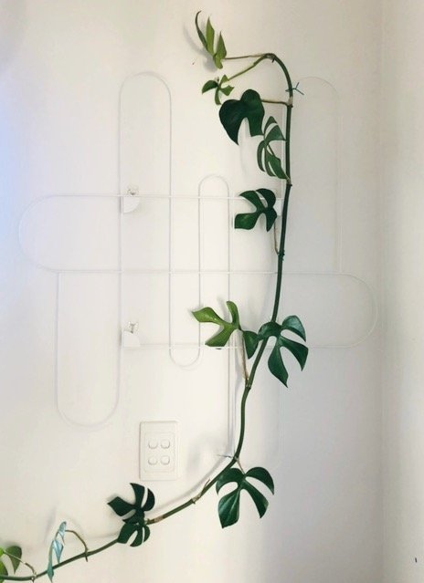 Top IKEA ideas 2021 - indoor plant trellis