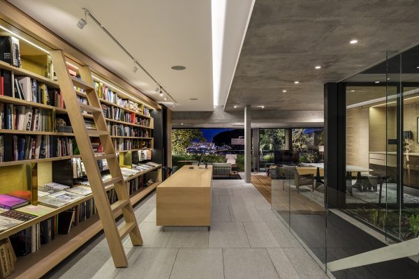 librarian-ladder-600x400.jpg
