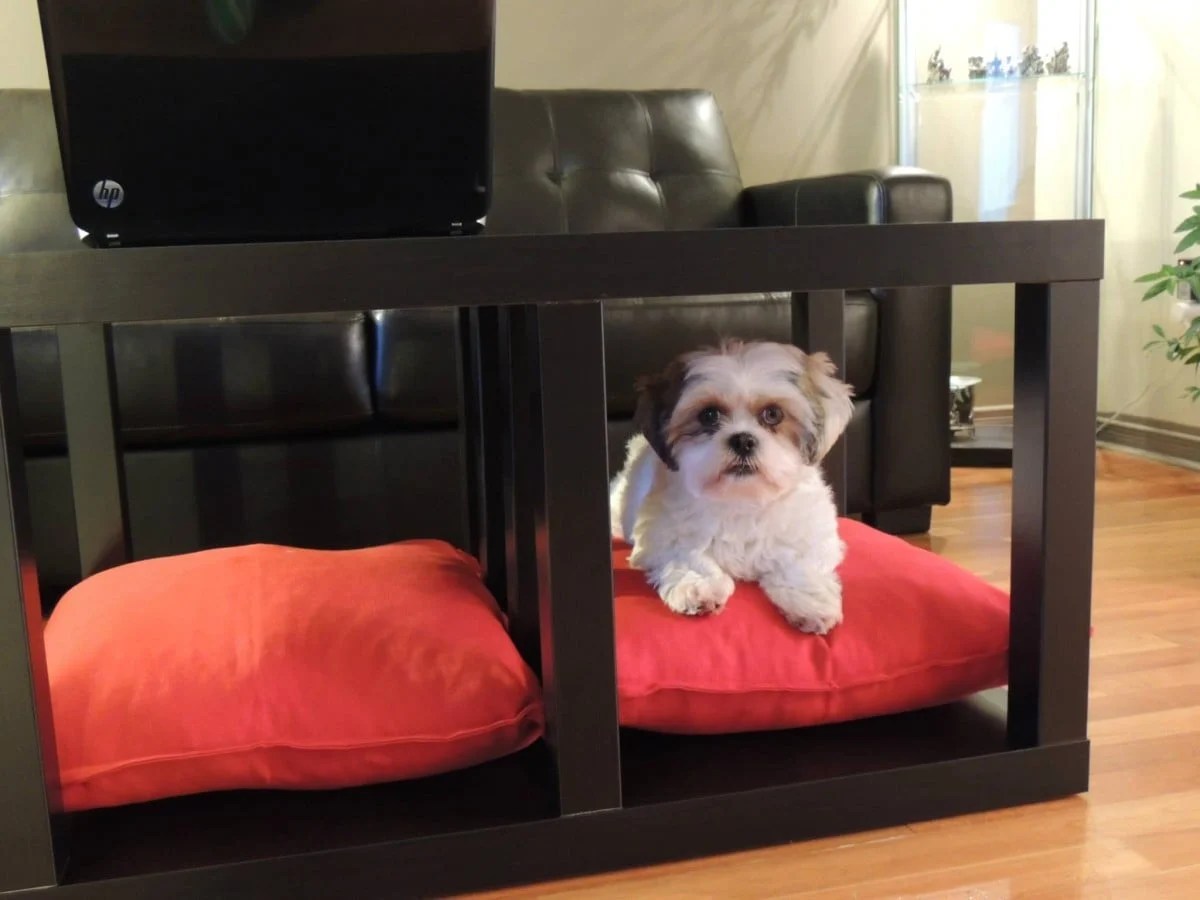 IKEA furniture hacks for dogs -coffee table dog bed