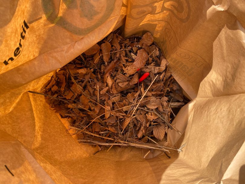 looking into a bag of garden clippings